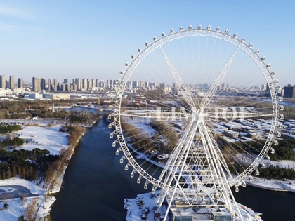 Limeiqi Ferris Wheel Case