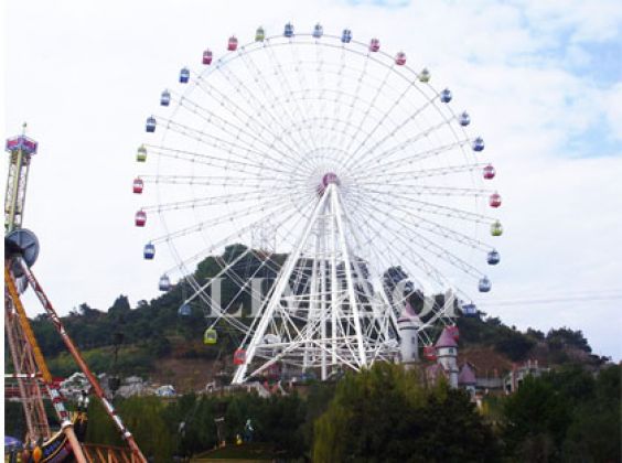 50m Ferris Wheel