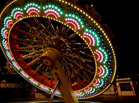 Ballerina Rides 24 Seats (Fire Phoenix)