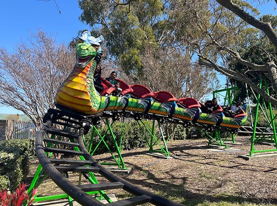 Dragon Roller Coaster
