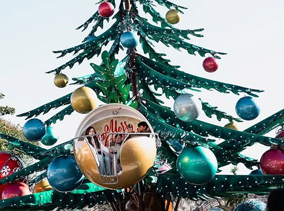Christmas Tree Rides