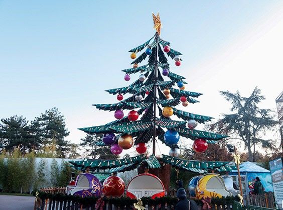 Christmas Tree Rides