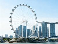 Blending Modern Engineering with Cultural Symbolism - The Singapore Flyer (#9)
